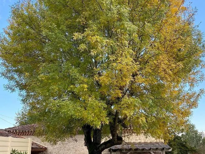 D Hôte Petit Crussac