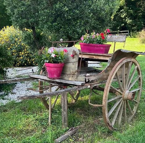 D Hôte Petit Crussac Alojamento de Acomodação e Pequeno-almoço 4*
